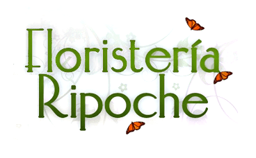 Floristería Ripoche logo